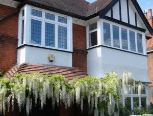 KT5 timber casement windows 118