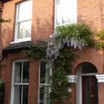 SW19 Timber sash windows 73